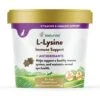 NaturVet L-Lysine Plus Antioxidants Soft Chews Immune Supplement For Cats -Furry Friends 150343 MAIN. AC SS1800 V1698695351