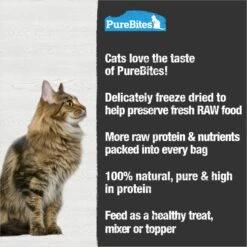 PureBites Tuna Freeze-Dried Raw Cat Treats -Furry Friends 150509 PT4. AC SS1800 V1677604588