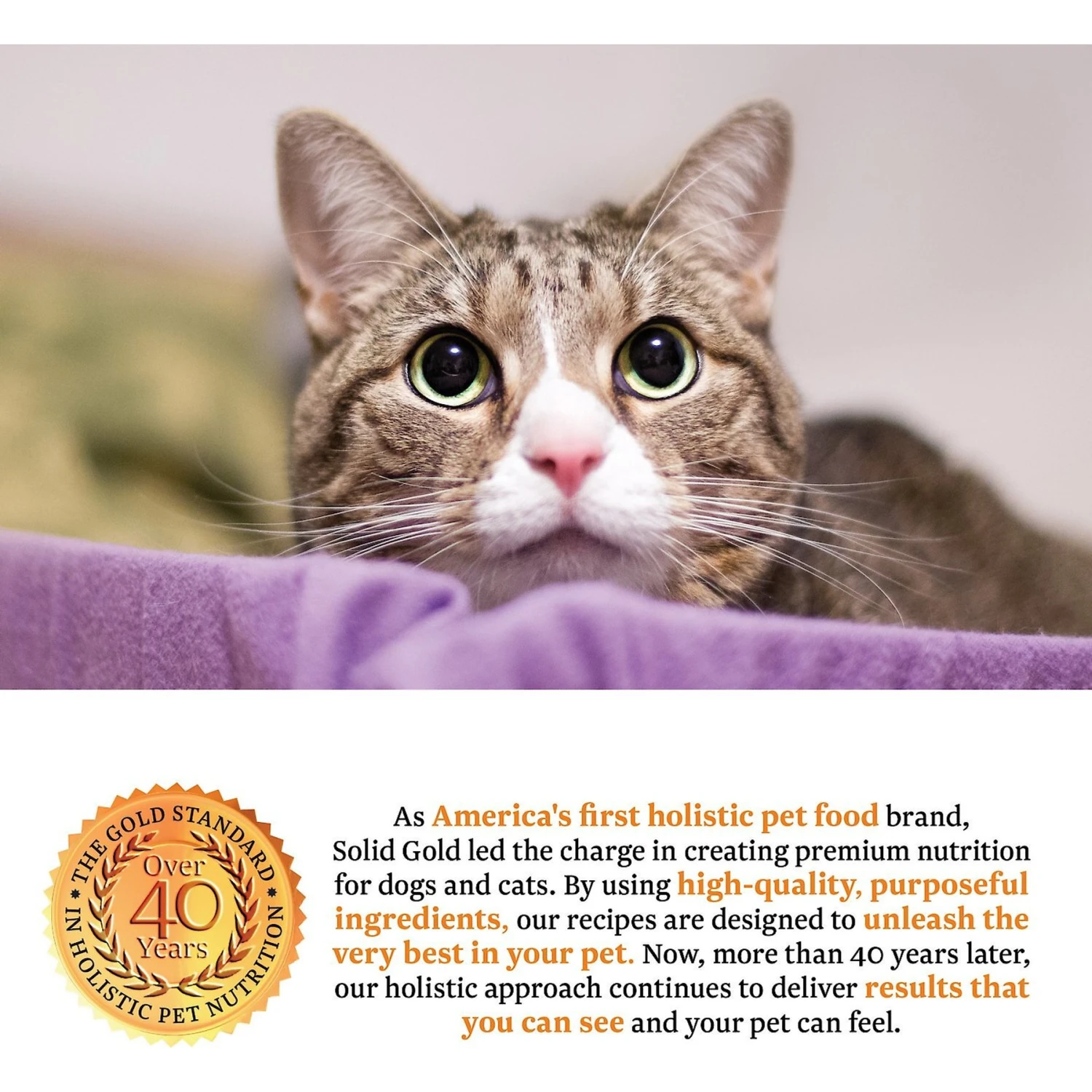 Solid Gold Triple Layer Mousse & Shreds With Real Turkey & Pumpkin Wet Cat Food 5 Solid Gold Triple Layer Mousse & Shreds With Real Turkey & Pumpkin Wet Cat Food - Image 3