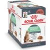 Royal Canin Feline Care Nutrition Digestive Care Adult Chunks In Gravy Pouch Cat Food