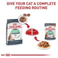 Royal Canin Feline Care Nutrition Digestive Care Adult Chunks In Gravy Pouch Cat Food -Furry Friends 151281 PT5. AC SS1800 V1697761752