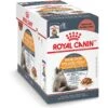 Royal Canin Feline Care Nutrition Hair & Skin Care Chunks In Gravy Pouch Cat Food, 3-oz, Case Of 12 -Furry Friends 151283 MAIN. AC SS1800 V1697754021