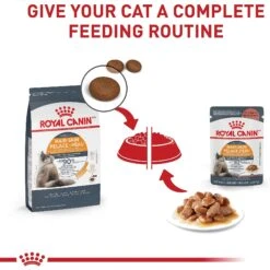 Royal Canin Feline Care Nutrition Hair & Skin Care Chunks In Gravy Pouch Cat Food, 3-oz, Case Of 12 -Furry Friends 151283 PT5. AC SS1800 V1697762138