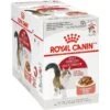 Royal Canin Feline Health Nutrition Adult Instinctive Chunks In Gravy Cat Food Pouch 1 Royal Canin Feline Health Nutrition Adult Instinctive Chunks In Gravy Cat Food Pouch -Furry Friends 151285 MAIN. AC SS1800 V1697761693