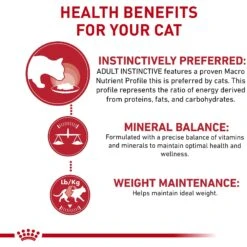 Royal Canin Feline Health Nutrition Adult Instinctive Chunks In Gravy Cat Food Pouch -Furry Friends 151285 PT3. AC SS1800 V1697759798