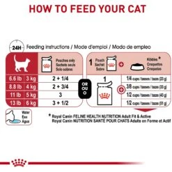 Royal Canin Feline Health Nutrition Adult Instinctive Chunks In Gravy Cat Food Pouch -Furry Friends 151285 PT5. AC SS1800 V1697757373