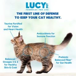 Lucy Pet Products Formulas For Life Salmon, Pumpkin & Quinoa Formula Grain-Free Dry Cat Food -Furry Friends 151358 PT5. AC SS1800 V1581698342