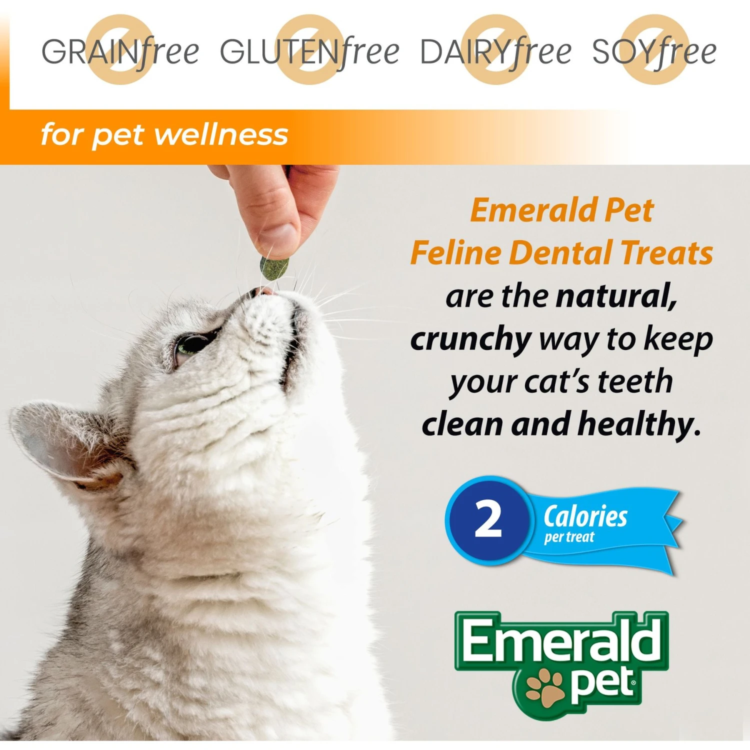 Emerald Pet Feline Dental Catnip Flavor Grain-Free Cat Treats 8 Emerald Pet Feline Dental Catnip Flavor Grain-Free Cat Treats - Image 6