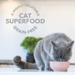 Feline Natural Booster Lamb Green Tripe Freeze-Dried Cat Food Topper -Furry Friends 151676 PT2. AC SS1800 V1693235984