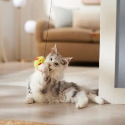 Ethical Pet A-Door-Able Bouncing Bird With Feather Tail Cat Toy With Catnip, Color Varies -Furry Friends 152172 PT4. AC SS1800 V1682711113