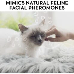 ThunderEase Calming Diffuser Refill For Cats, 30 Day -Furry Friends 152654 PT3. AC SS1800 V1690552942