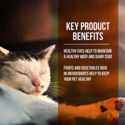 Fussie Cat Market Fresh Guinea Fowl & Turkey Meal Recipe Grain-Free Dry Cat Food 12 Fussie Cat Market Fresh Guinea Fowl & Turkey Meal Recipe Grain-Free Dry Cat Food -Furry Friends 152791 PT2. AC SS1800 V1642569686