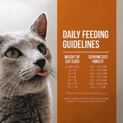 Fussie Cat Market Fresh Guinea Fowl & Turkey Meal Recipe Grain-Free Dry Cat Food 15 Fussie Cat Market Fresh Guinea Fowl & Turkey Meal Recipe Grain-Free Dry Cat Food -Furry Friends 152791 PT5. AC SS1800 V1642546963