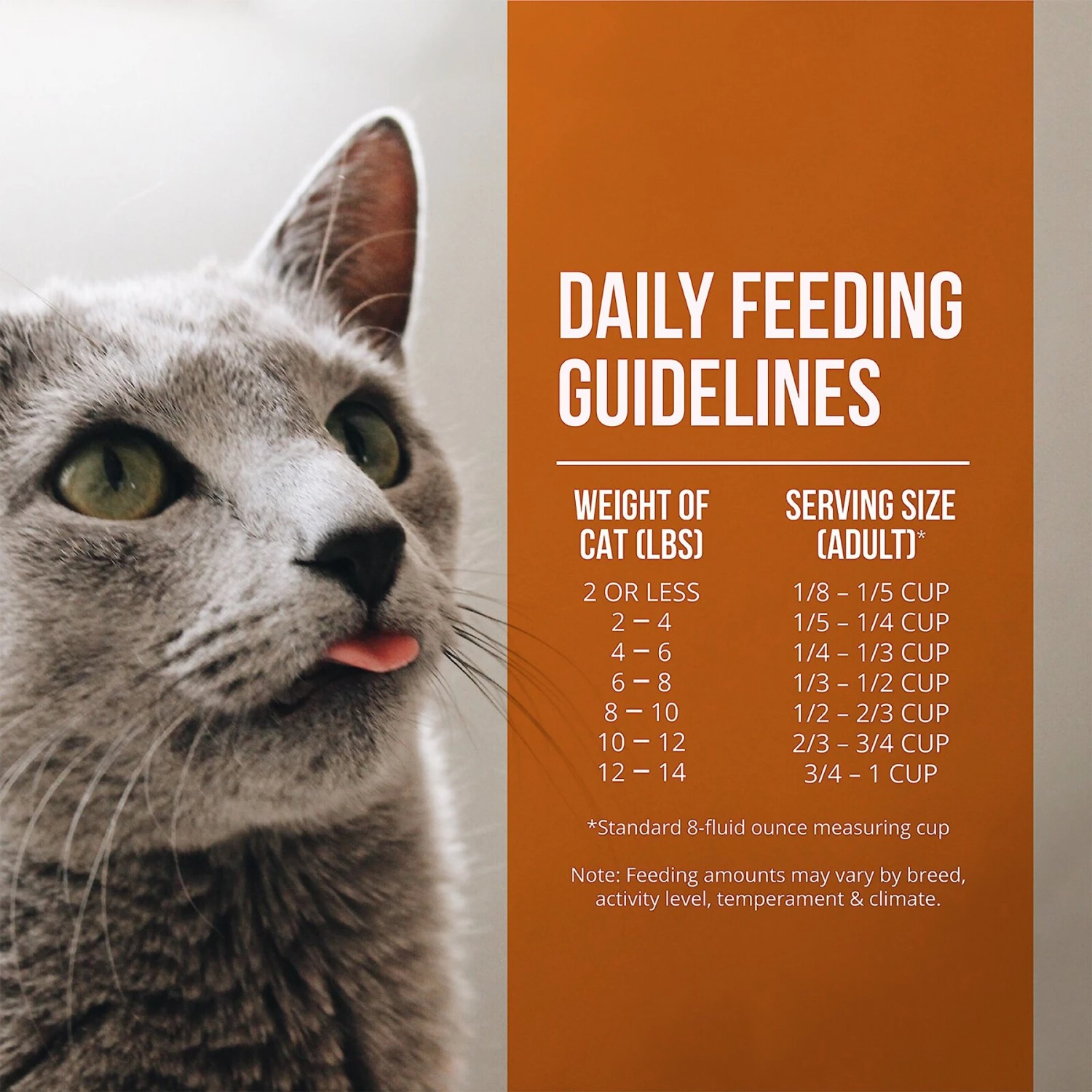 Fussie Cat Market Fresh Guinea Fowl & Turkey Meal Recipe Grain-Free Dry Cat Food 8 Fussie Cat Market Fresh Guinea Fowl & Turkey Meal Recipe Grain-Free Dry Cat Food - Image 6