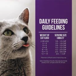 Fussie Cat Market Fresh Quail & Duck Meal Recipe Grain-Free Dry Cat Food -Furry Friends 152795 PT5. AC SS1800 V1642577189