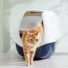 Frisco Hooded Cat Litter Box 2 Frisco Hooded Cat Litter Box -Furry Friends 153376 MAIN. AC SS1800 V1675280052