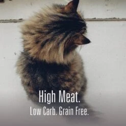 Meat Mates Beef Freeze-Dried Raw Cat Treats -Furry Friends 153829 PT4. AC SS1800 V1594857377
