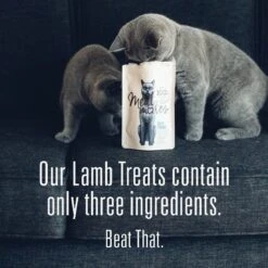 Meat Mates Lamb Freeze-Dried Raw Cat Treats -Furry Friends 153831 PT1. AC SS1800 V1594936607