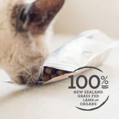 Meat Mates Lamb Freeze-Dried Raw Cat Treats -Furry Friends 153831 PT2. AC SS1800 V1594936568