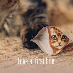 Meat Mates Lamb Freeze-Dried Raw Cat Treats -Furry Friends 153831 PT7. AC SS1800 V1594936287