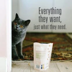 Meat Mates Chicken Freeze-Dried Raw Cat Treats 16 Meat Mates Chicken Freeze-Dried Raw Cat Treats -Furry Friends 153833 PT5. AC SS1800 V1594936555