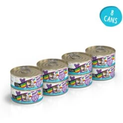 BFF OMG Best Day Eva! Beef & Salmon Dinner In Gravy Grain-Free Canned Cat Food -Furry Friends 154841 PT1. AC SS1800 V1646842895