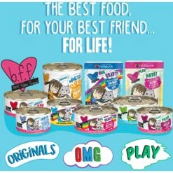 BFF OMG Best Day Eva! Beef & Salmon Dinner In Gravy Grain-Free Canned Cat Food -Furry Friends 154841 PT4. AC SS1800 V1646854362