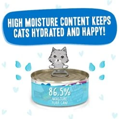 BFF OMG Love Munchkin! Chicken & Pumpkin Dinner In Gravy Grain-Free Canned Cat Food -Furry Friends 154847 PT3. AC SS1800 V1646847984