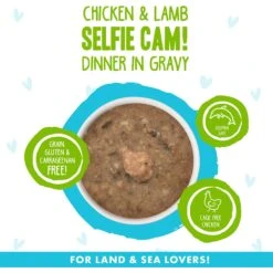 BFF OMG Selfie Cam! Chicken & Lamb Dinner In Gravy Grain-Free Canned Cat Food -Furry Friends 154851 PT2. AC SS1800 V1646842885