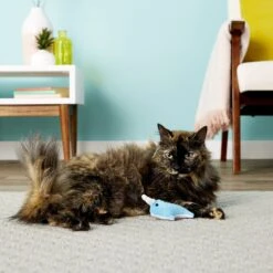 OurPets Play-N-Squeak Narwhal Cat Toy -Furry Friends 155045 PT1. AC SS1800 V1558466240