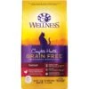 Wellness Complete Health Chicken & Deboned Chicken Grain-Free Senior Dry Cat Food -Furry Friends 155316 MAIN. AC SS1800 V1636516014