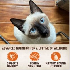 Wellness CORE Tiny Tasters Chicken & Beef Pate Grain-Free Cat Food Pouches -Furry Friends 155320 PT3. AC SS1800 V1695836517
