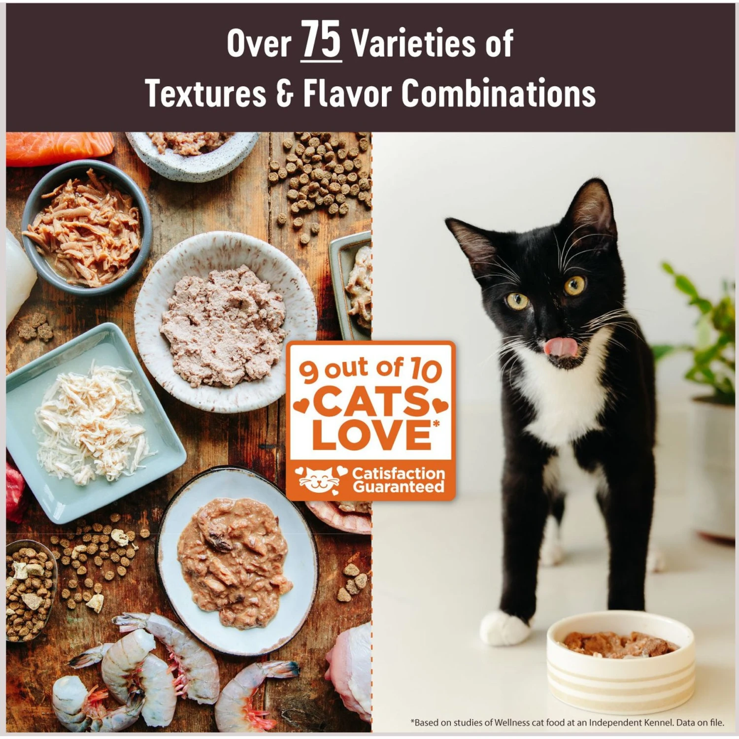 Wellness CORE Tiny Tasters Tuna & Salmon, Tuna Pate Sea Variety Pack Grain-Free Cat Food Pouches 4 Wellness CORE Tiny Tasters Tuna & Salmon, Tuna Pate Sea Variety Pack Grain-Free Cat Food Pouches - Image 2