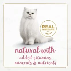 Fancy Feast Gourmet Naturals Wild Alaskan Salmon & Shrimp Recipe In Gravy Canned Cat Food -Furry Friends 155541 PT3. AC SS1800 V1677103476