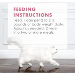 Fancy Feast Gourmet Naturals Wild Alaskan Salmon & Shrimp Recipe In Gravy Canned Cat Food -Furry Friends 155541 PT8. AC SS1800 V1543333922