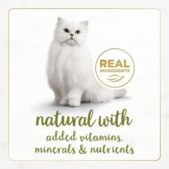 Fancy Feast Gourmet Naturals White Meat Chicken Recipe In Gravy Canned Cat Food -Furry Friends 155543 PT3. AC SS1800 V1677102859