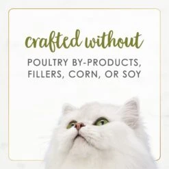 Fancy Feast Gourmet Naturals White Meat Chicken Recipe In Gravy Canned Cat Food -Furry Friends 155543 PT6. AC SS1800 V1677102924