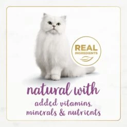 Fancy Feast Gourmet Naturals Beef Recipe Pate Canned Cat Food, 3-oz, Case Of 12 -Furry Friends 155545 PT3. AC SS1800 V1677102858