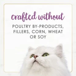 Fancy Feast Gourmet Naturals Beef Recipe Pate Canned Cat Food, 3-oz, Case Of 12 -Furry Friends 155545 PT6. AC SS1800 V1677102857