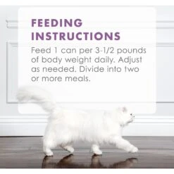 Fancy Feast Gourmet Naturals Beef Recipe Pate Canned Cat Food, 3-oz, Case Of 12 -Furry Friends 155545 PT8. AC SS1800 V1543334182