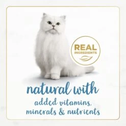 Fancy Feast Gourmet Naturals Trout & Tuna Recipe Pate Canned Cat Food, 3-oz, Case Of 12 -Furry Friends 155547 PT3. AC SS1800 V1677103478