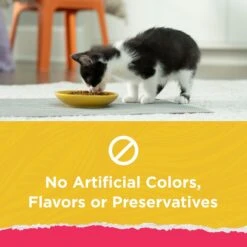 Kitten Chow Naturals Original With Added Vitamins, Minerals & Nutrients Dry Cat Food -Furry Friends 155804 PT2. AC SS1800 V1695836515