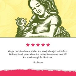 Kitten Chow Naturals Original With Added Vitamins, Minerals & Nutrients Dry Cat Food -Furry Friends 155804 PT5. AC SS1800 V1695847860