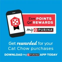 Kitten Chow Naturals Original With Added Vitamins, Minerals & Nutrients Dry Cat Food -Furry Friends 155804 PT7. AC SS1800 V1695836521