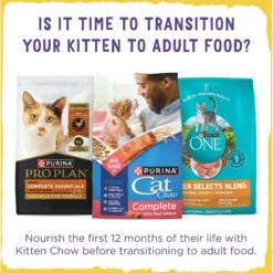 Kitten Chow Naturals Original With Added Vitamins, Minerals & Nutrients Dry Cat Food -Furry Friends 155804 PT8. AC SS1800 V1695740175