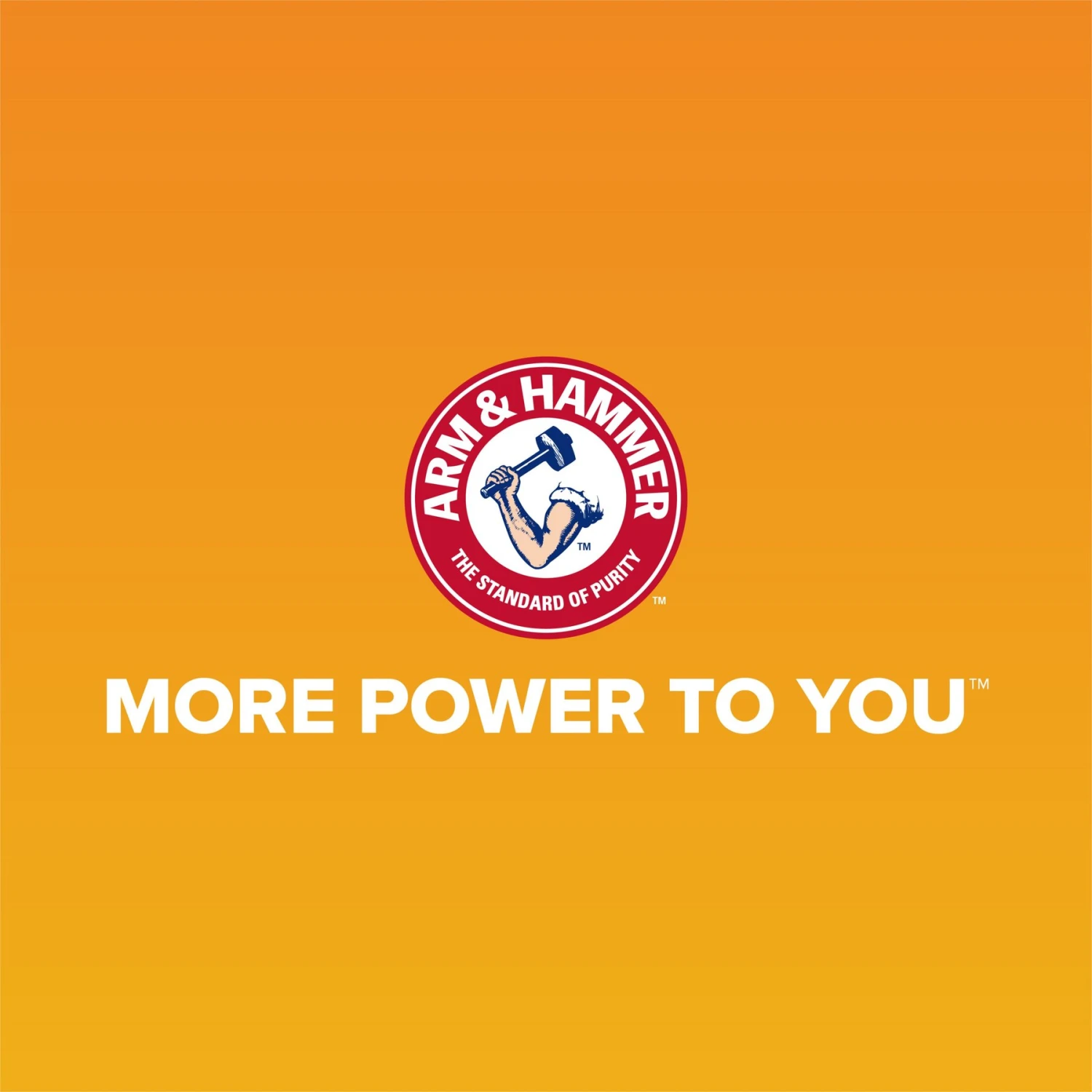 Arm & Hammer Sifting Cat Litter Pan 5 Arm & Hammer Sifting Cat Litter Pan - Image 3