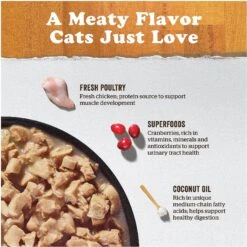 Now Fresh Grain-Free Minced Chicken Recipe Wet Cat Food -Furry Friends 156605 PT2. AC SS1800 V1637792597