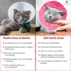 SunGrow Post-Surgery Soft Cone Dog & Cat Recovery Collar 12 SunGrow Post-Surgery Soft Cone Dog & Cat Recovery Collar -Furry Friends 156805 PT3. AC SS1800 V1697762138