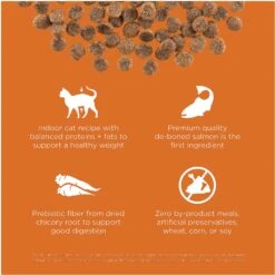 Go! Solutions Skin + Coat Care Grain-Free Salmon Recipe Dry Cat Food 13 Go! Solutions Skin + Coat Care Grain-Free Salmon Recipe Dry Cat Food -Furry Friends 157019 PT2. AC SS1800 V1638838955