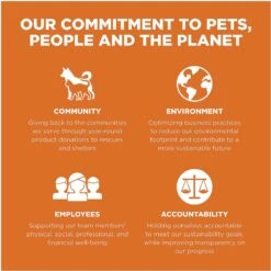 Go! Solutions Skin + Coat Care Grain-Free Salmon Recipe Dry Cat Food 19 Go! Solutions Skin + Coat Care Grain-Free Salmon Recipe Dry Cat Food -Furry Friends 157019 PT8. AC SS1800 V1638835595